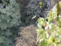 霧降の滝 霧降の滝