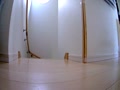 犬に反応する② 犬に反応する②